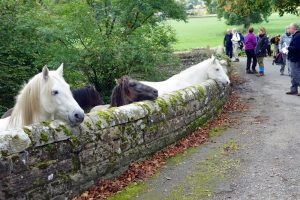 Malhamdale02