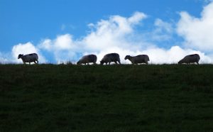 Malhamdale05