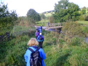 Malhamdale nigel13