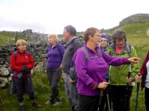 Malhamdale nigel15