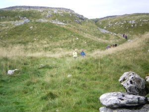Malhamdale nigel16