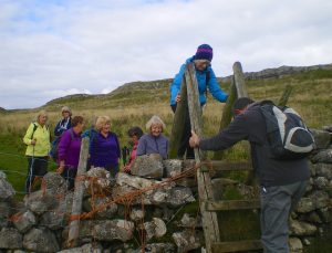 Malhamdale nigel17