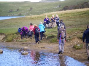 Malhamdale nigel18