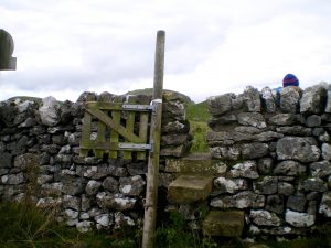 Malhamdale nigel21