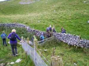 Malhamdale nigel23
