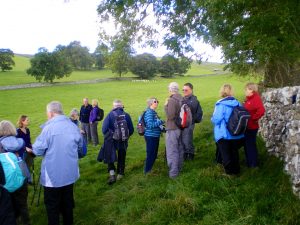 Malhamdale nigel28