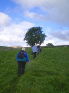 Malhamdale nigel29