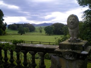 Malhamdale nigel30
