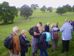 Malhamdale nigel34