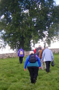 Malhamdale nigel35