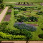 AudleyEnd June2016129