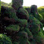 AudleyEnd June2016176