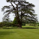 AudleyEnd June201623
