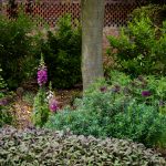AudleyEnd June201642