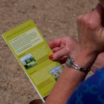 AudleyEnd June201684