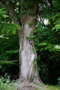 Highclere Castle 25July 2107
