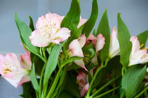 FlowerArranging