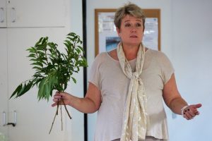 FlowerArranging