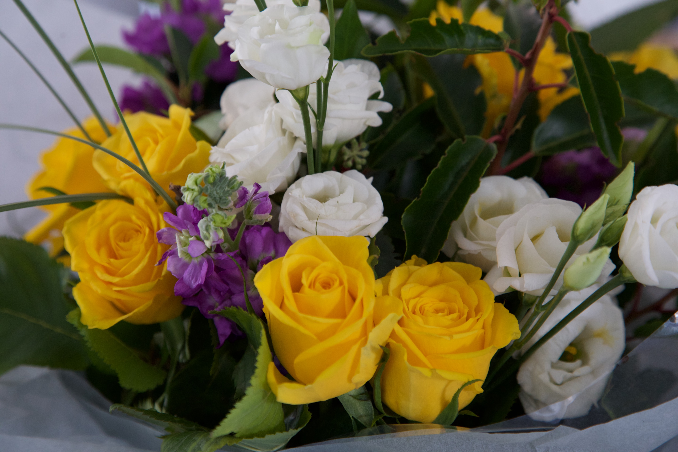 FlowerArranging