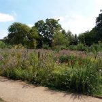 WaterperryGardens GardenVisits
