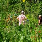 WaterperryGardens GardenVisits