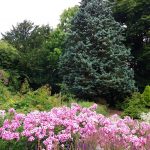 WaterperryGardens GardenVisits