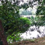 WaterperryGardens GardenVisits