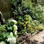 WaterperryGardens GardenVisits