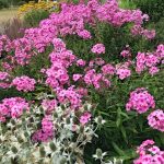WaterperryGardens GardenVisits