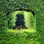 WaterperryGardens GardenVisits