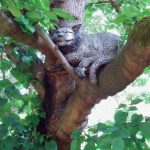 WaterperryGardens GardenVisits