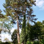 GardenVisit DM WGNT