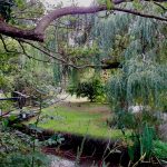 GardenVisit DM WGNT