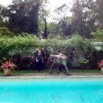 GardenVisit DM WGNT