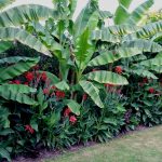 GardenVisit DM WGNT