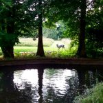 GardenVisit DM WGNT