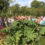 GardenVisit DM WGNT