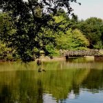 GardenVisit DM WGNT