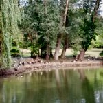 GardenVisit DM WGNT