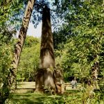 GardenVisit DM WGNT