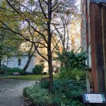 U3A LondonWalk Clerkenwell November2018