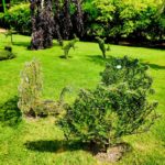 Beaulieu ChalfontsU3A July2016
