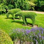 Beaulieu ChalfontsU3A July2016